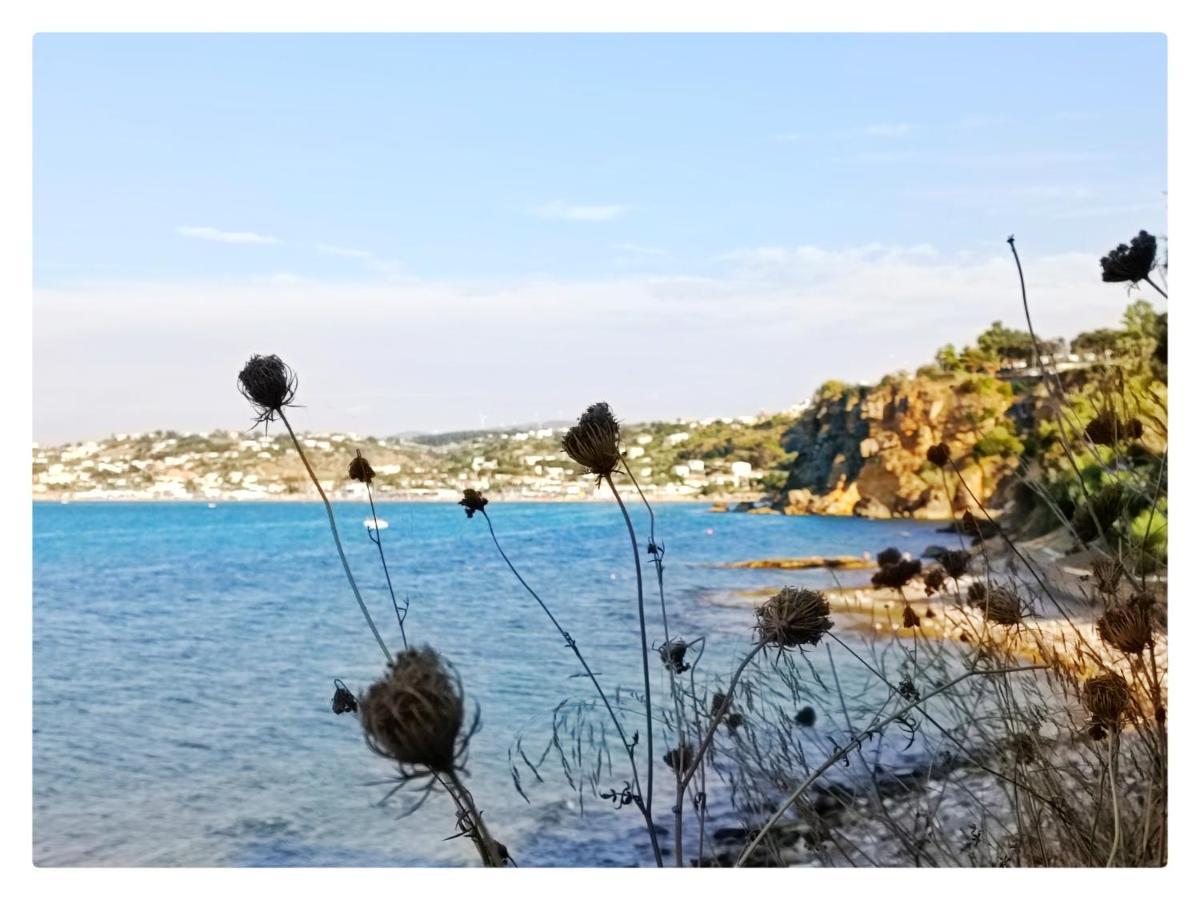 Case D'Anna Castellammare del Golfo Dış mekan fotoğraf